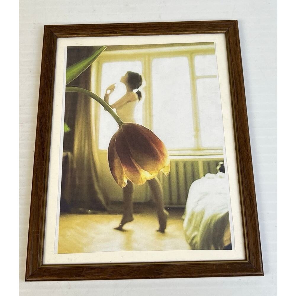 Ballerina Dancer Tulip Art Photograph Print 10" x 12" Framed Wall Hanging